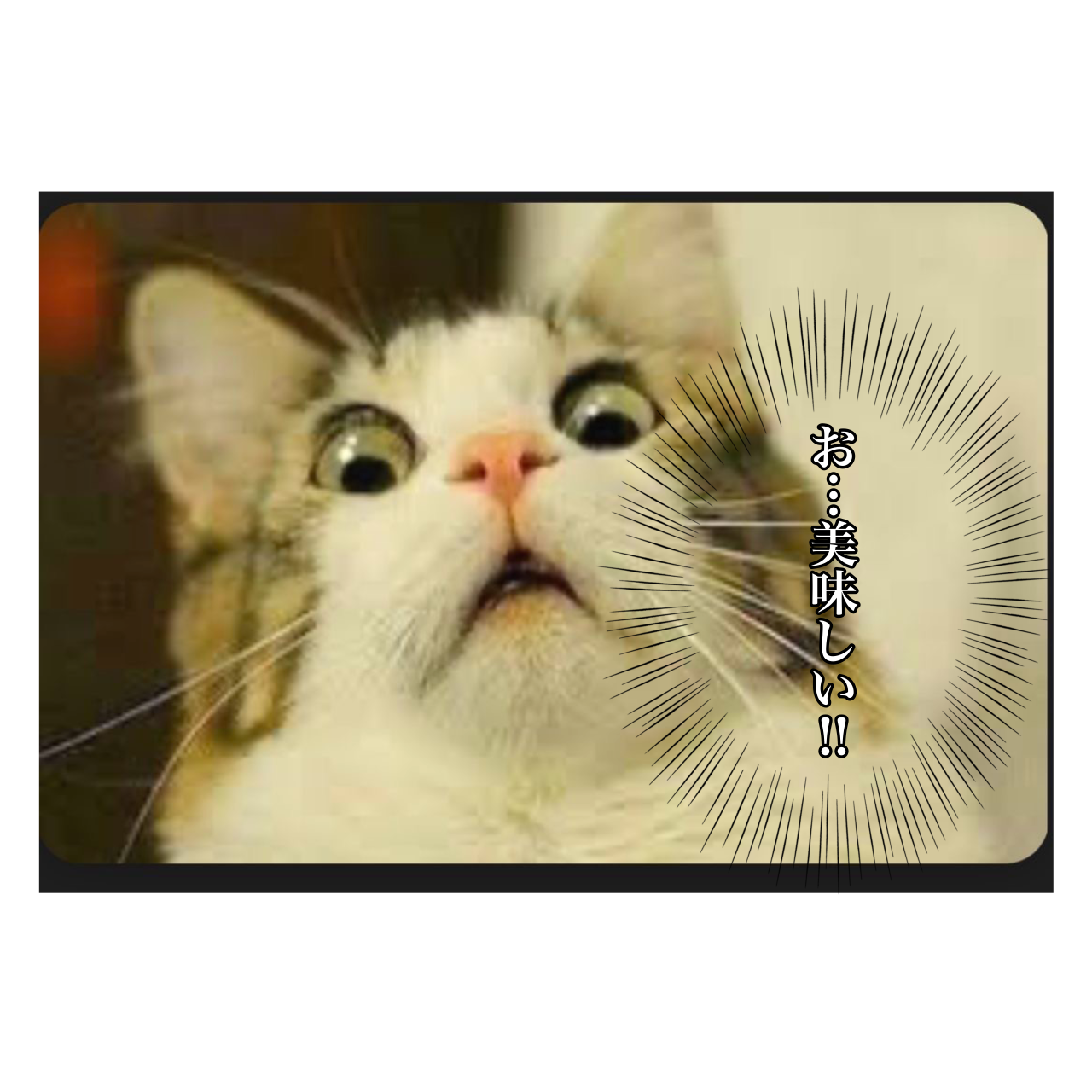 無題139_20240814214232.png
