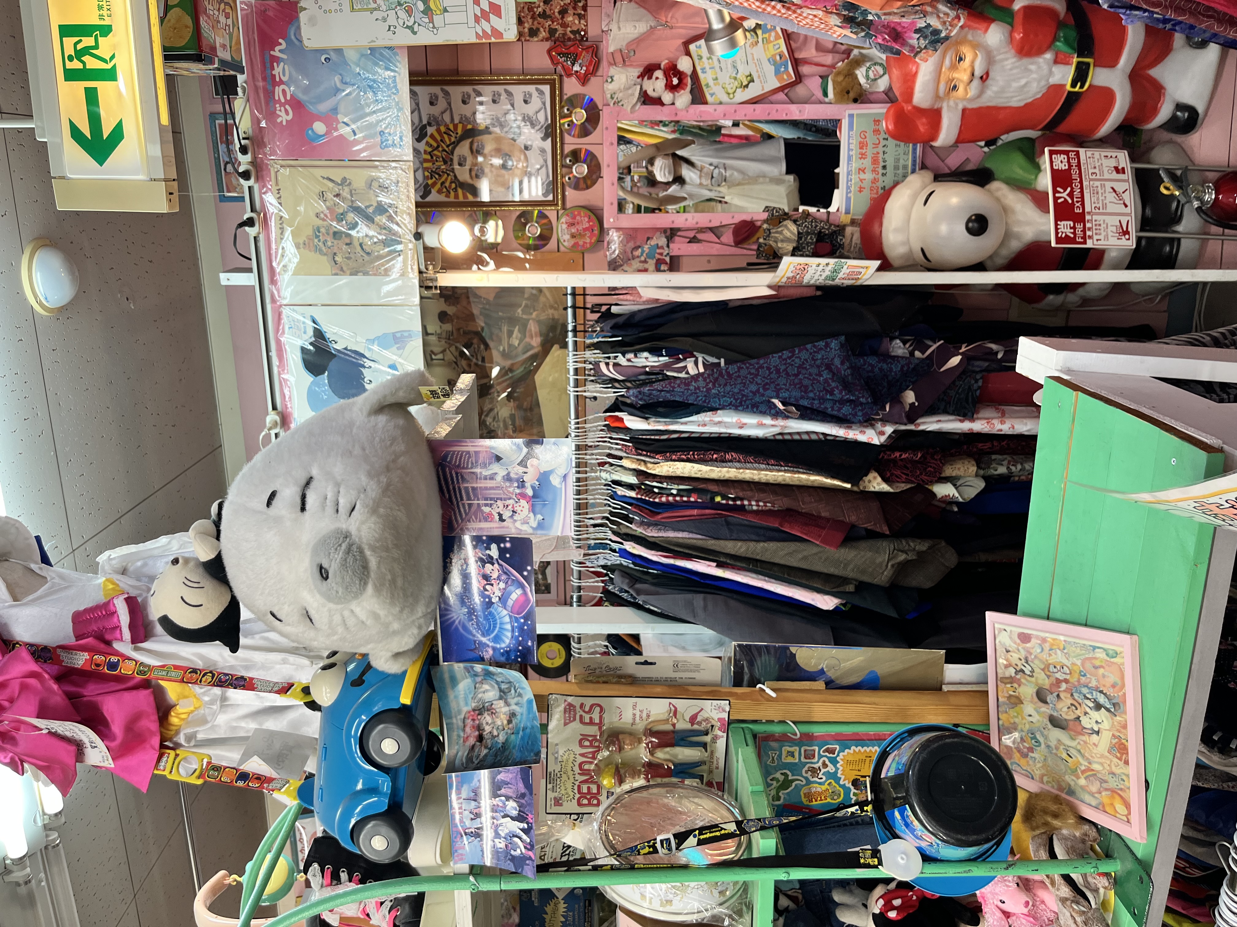 IMG_0034.jpeg