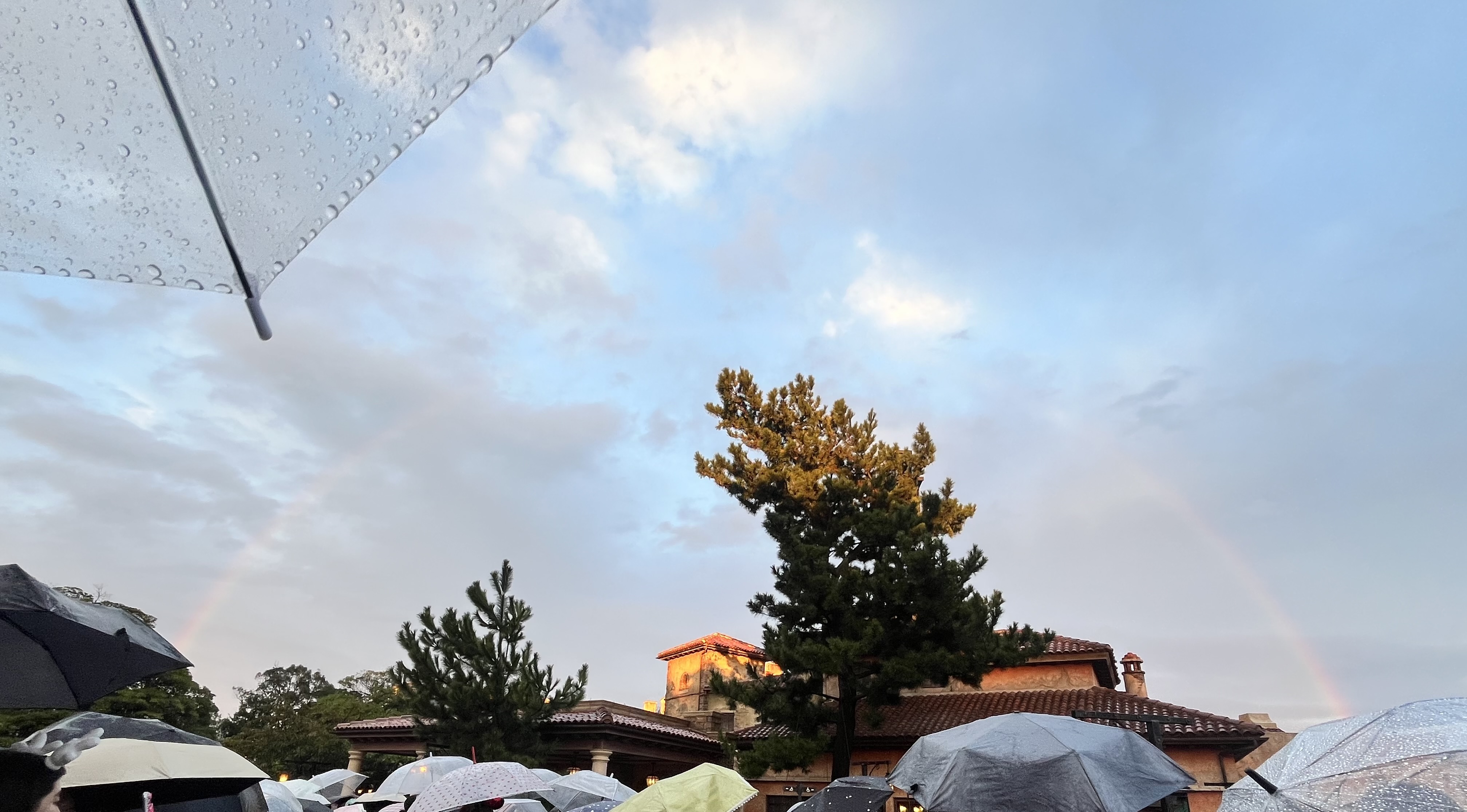 IMG_0133.jpeg