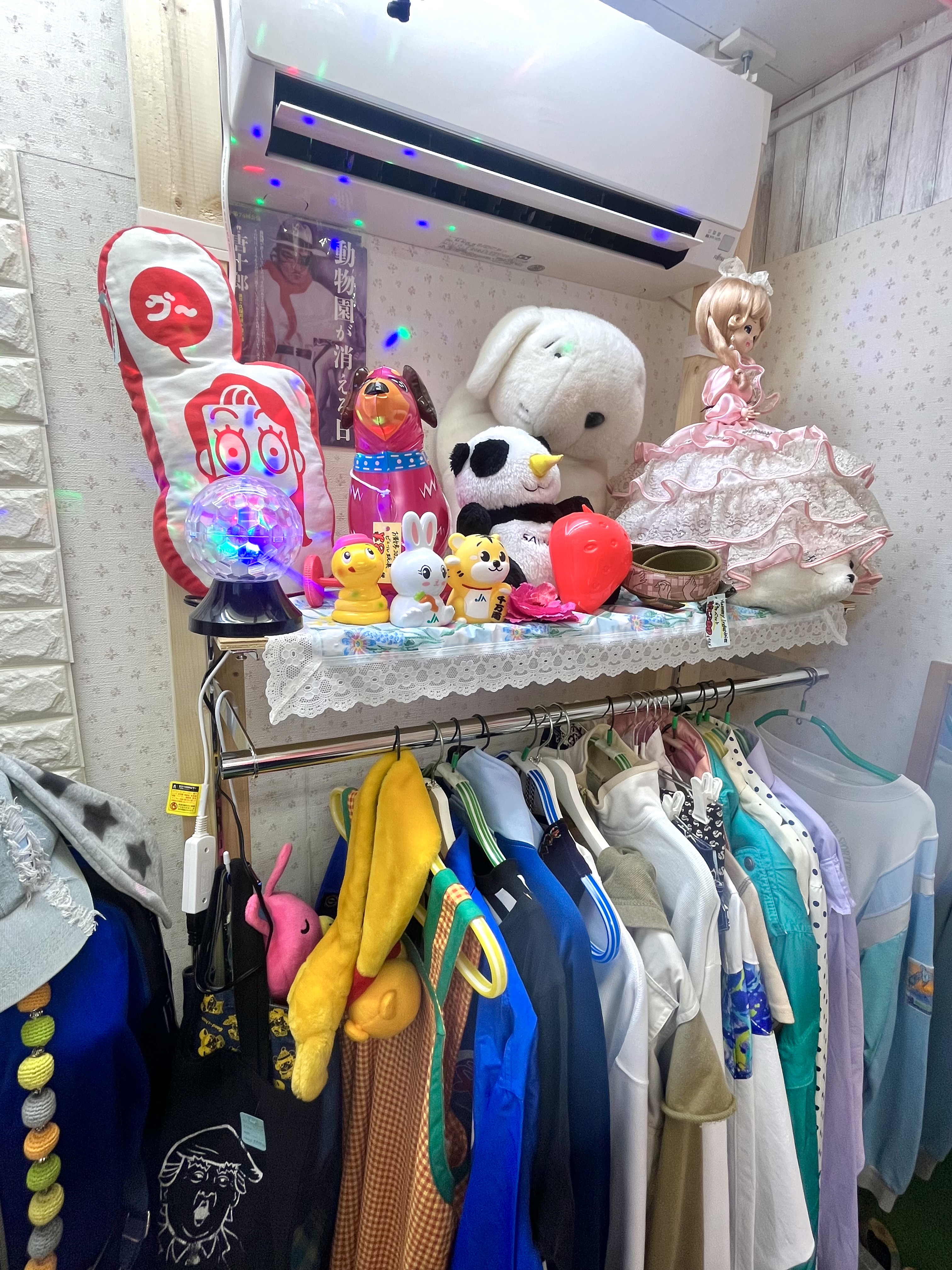 IMG_2062.jpeg