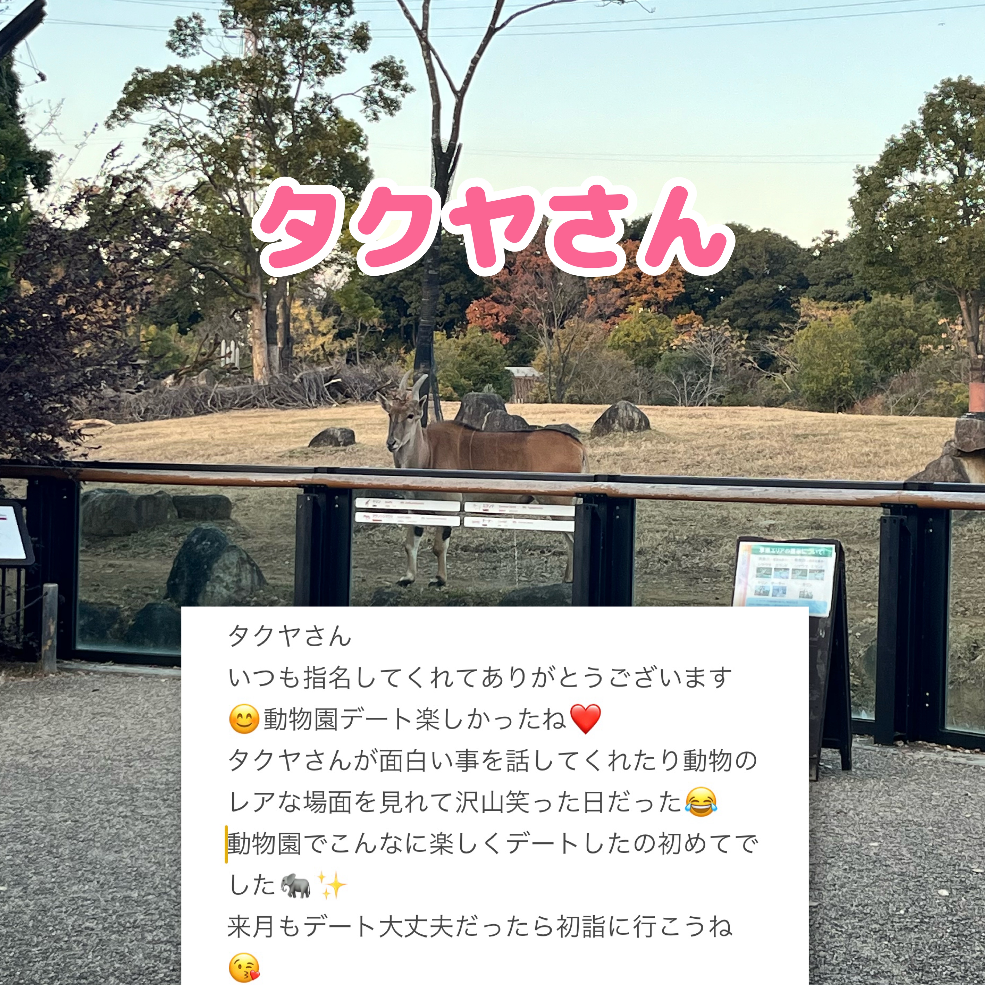 IMG_3184.jpeg