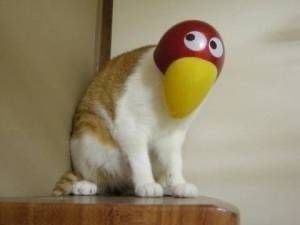 IMG_4112.jpeg