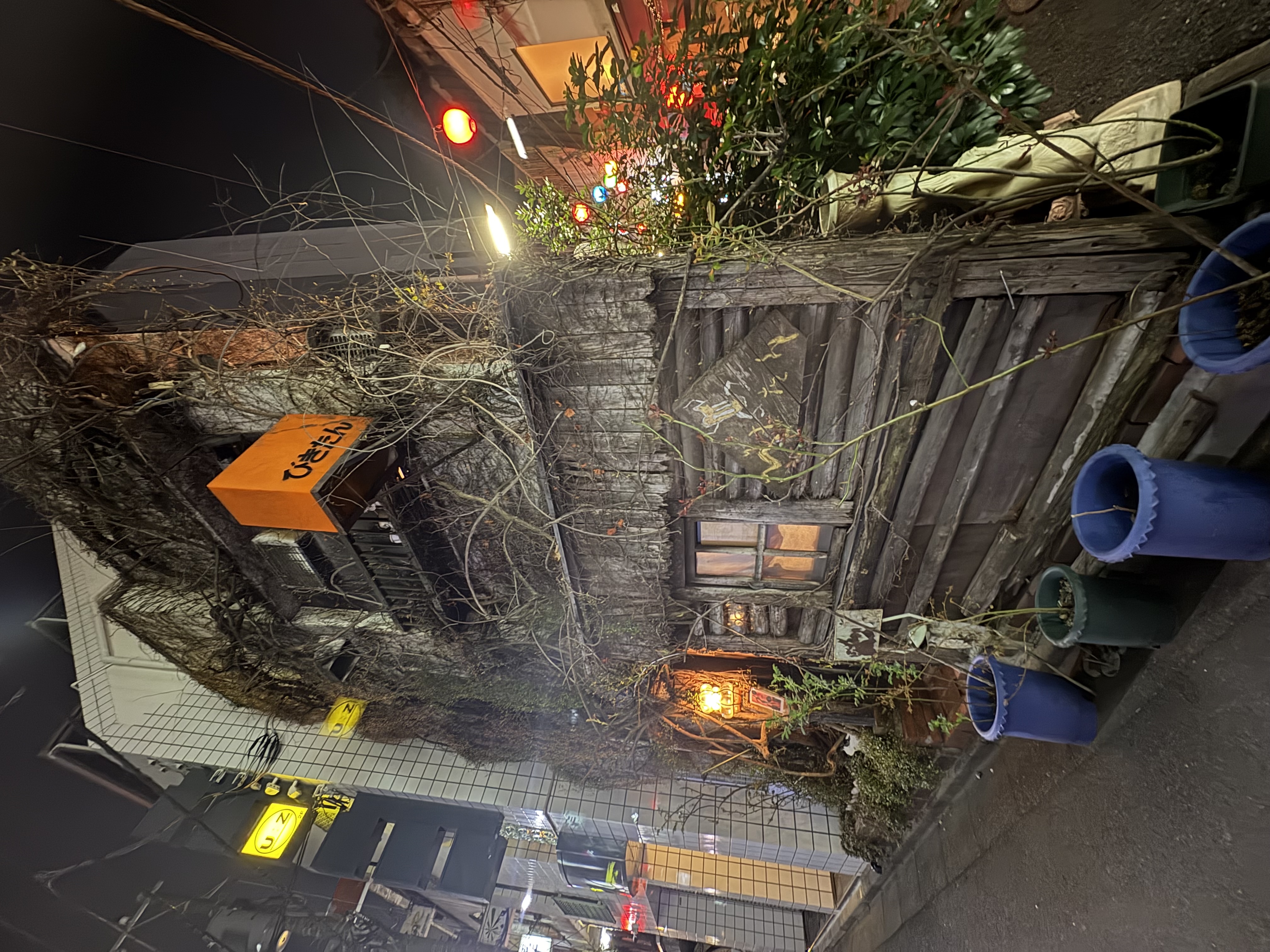 IMG_7220.jpeg