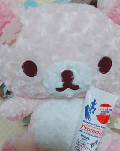 のどか
