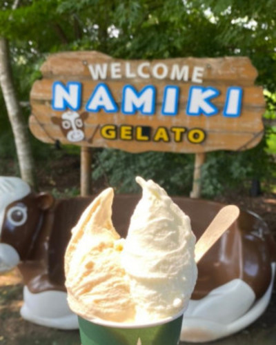 のどか