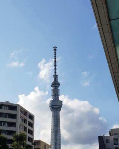 すみれ