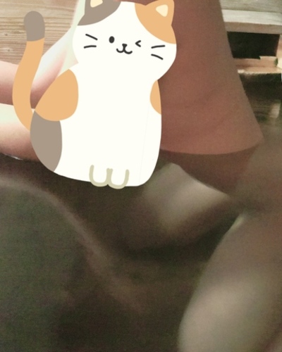 ひな