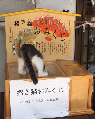 せん