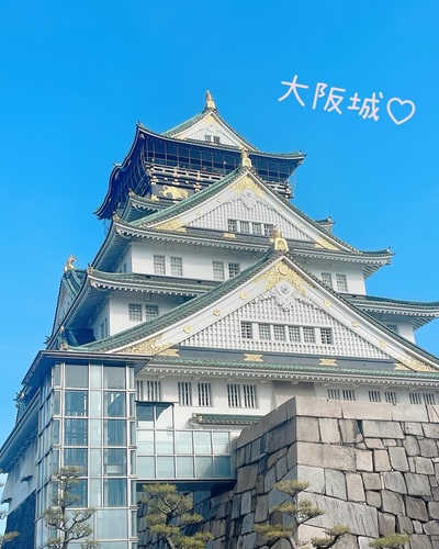 まい