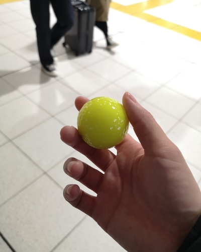 あいな