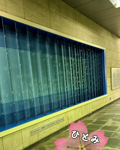 ひとみ