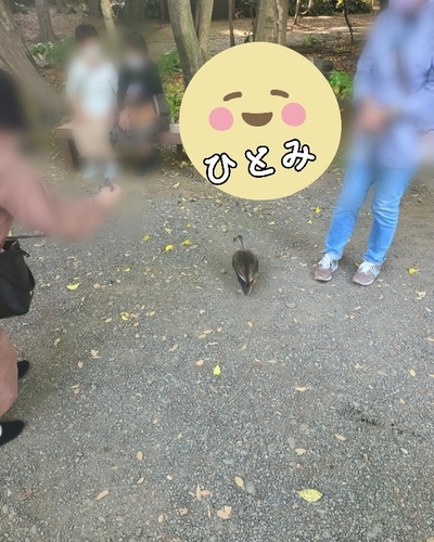 ひとみ