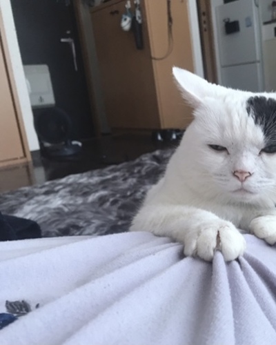 れん