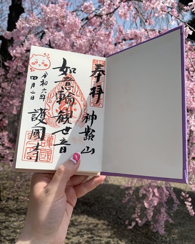 ゆい