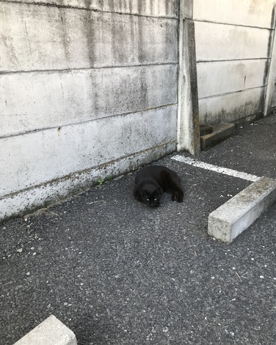 みよ