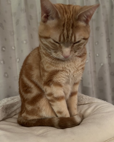 まり
