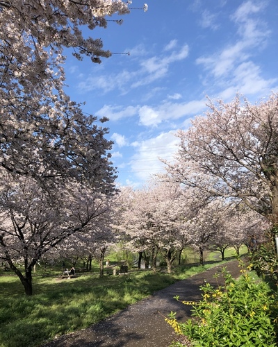 ゆめ