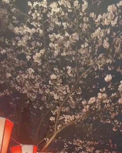 りりか