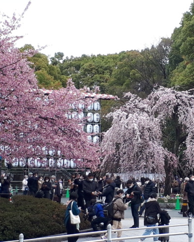 あやみ