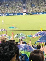 あんな