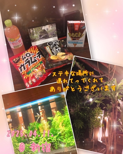 ありさ