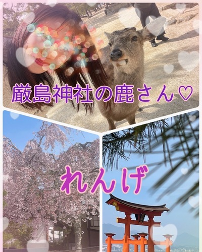 れんげ