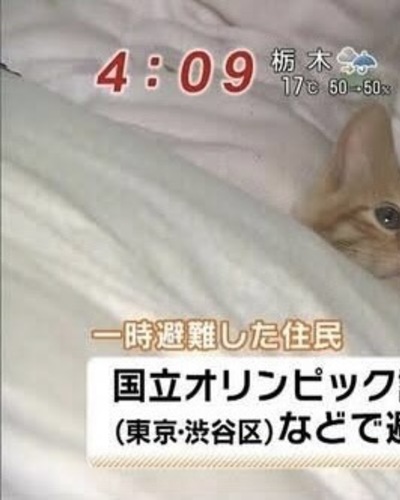 せん
