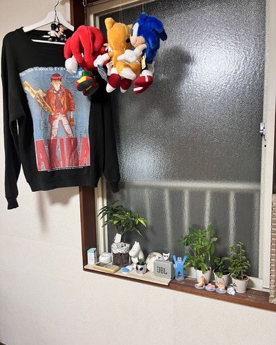 せん