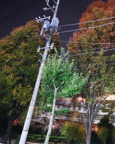 あいな