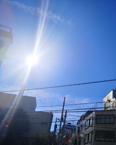 あいな
