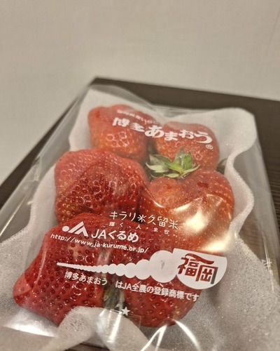 あいな