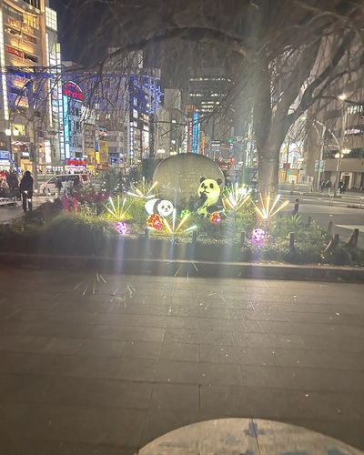 あやな