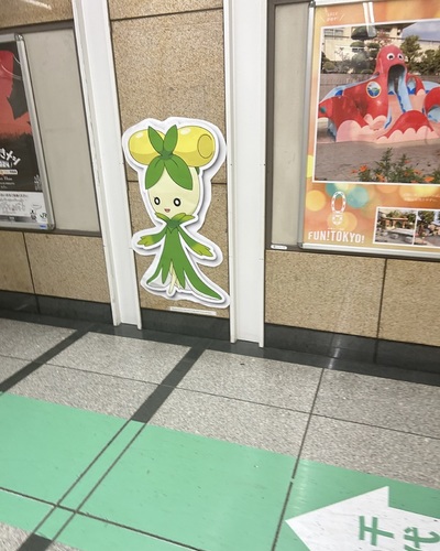 あやな