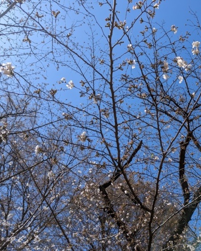 るき