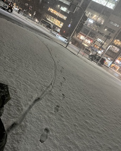 まほ