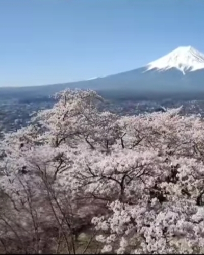 あやみ