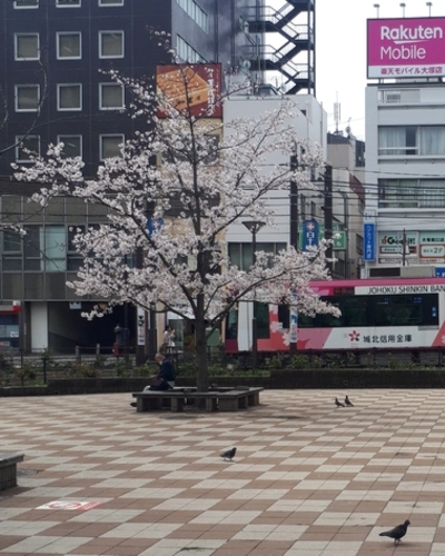 あやみ
