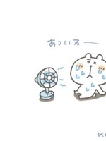 あみ