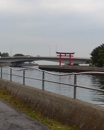 まいこ