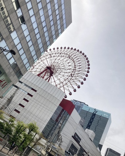 まほ