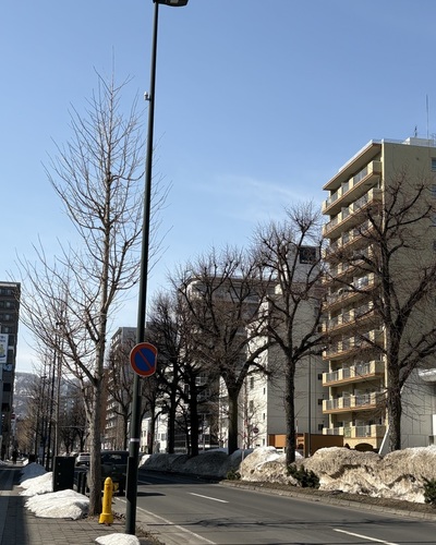 まい
