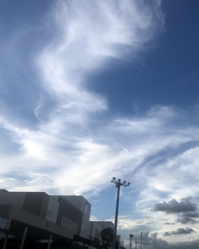 らん