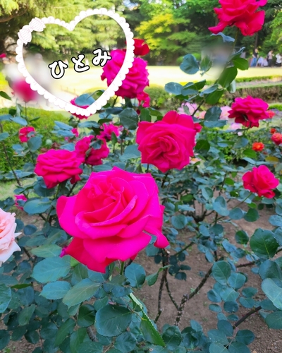 ひとみ