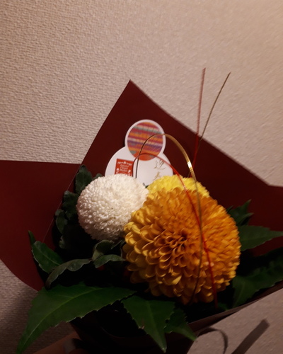 あやみ