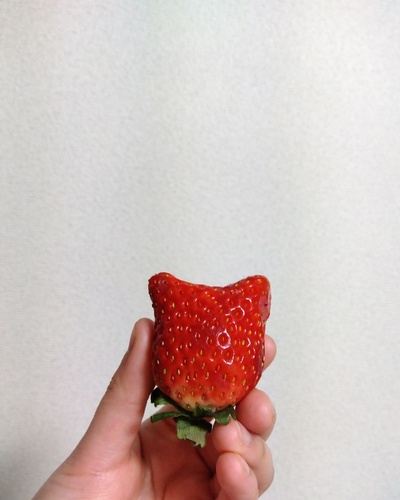 のどか