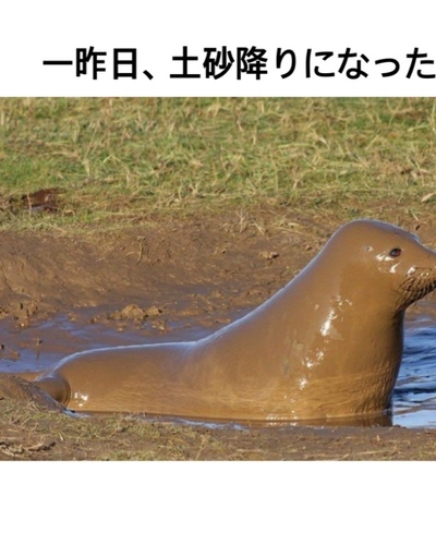 せん