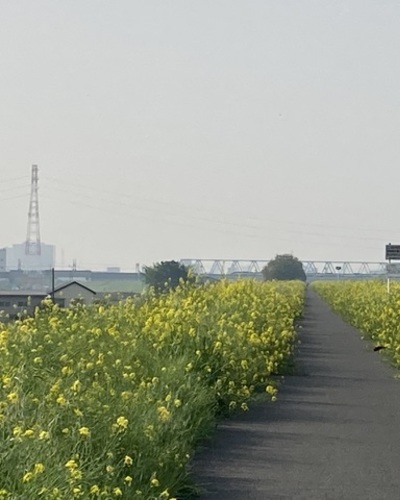 らん