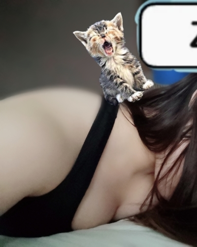 あいな