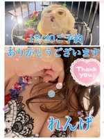 れんげ