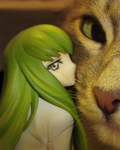 せん